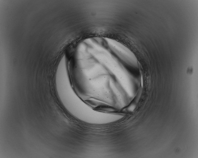 X0000091850750200710031641
