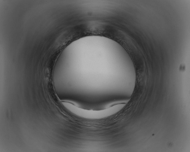 X0000091850752200710031641