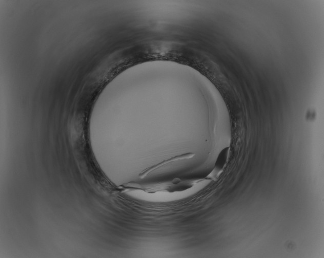 X0000091850754200710031641