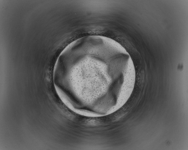 X0000091850755200710031641