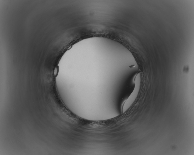 X0000091850756200710031641