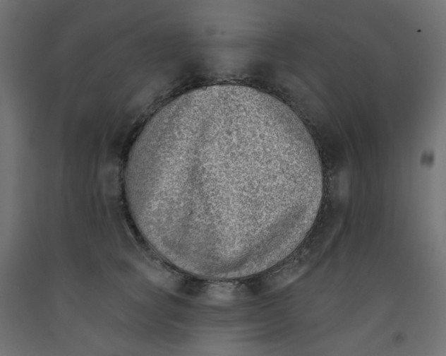 X0000091850757200710031641