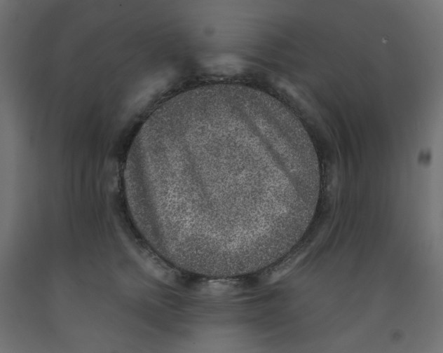 X0000091850758200710031641