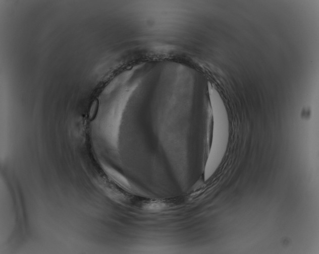 X0000091850759200710031641