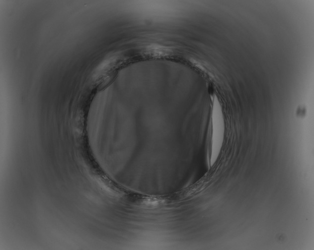 X0000091850760200710031641