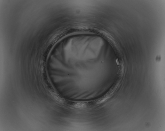 X0000091850762200710031641