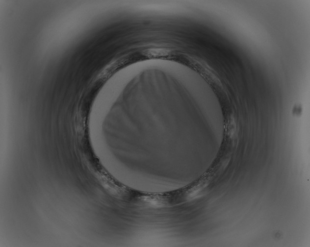 X0000091850763200710031641