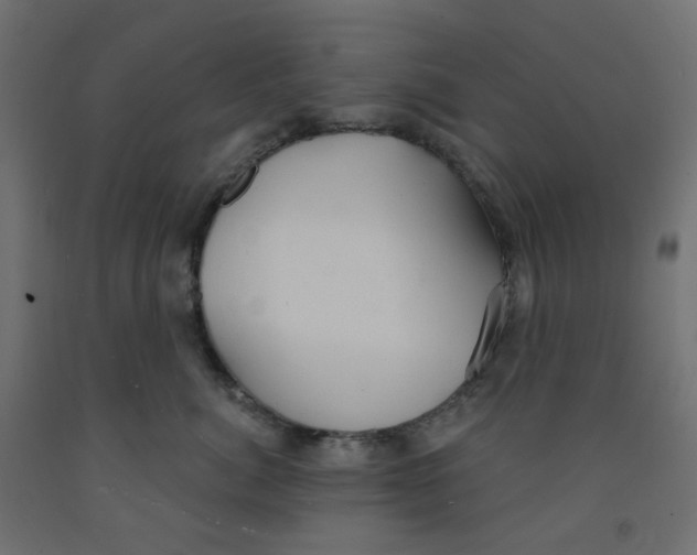 X0000091850764200710031641