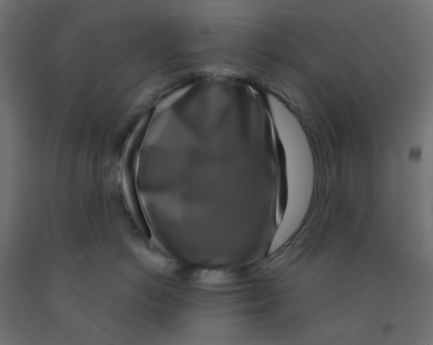 X0000091850766200710031641