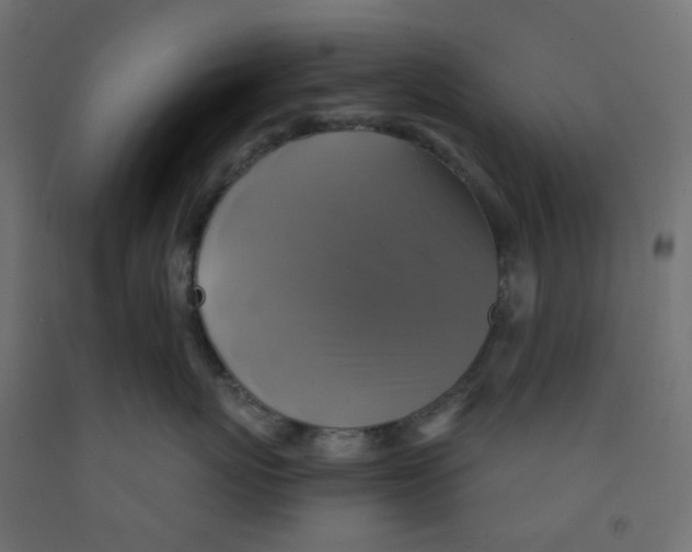X0000091850767200710031641