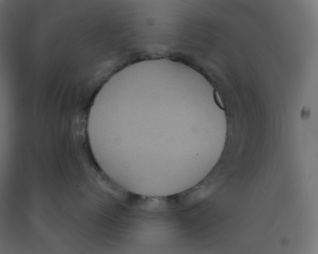 X0000091850768200710031641