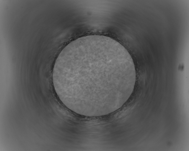 X0000091850769200710031640