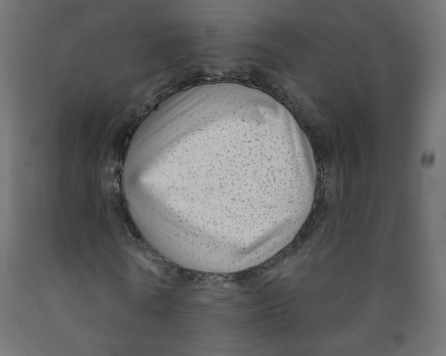 X0000091850770200710031640