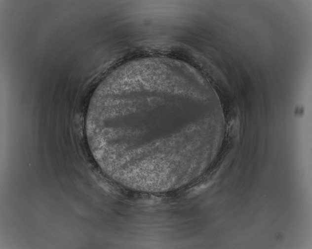 X0000091850772200710031640