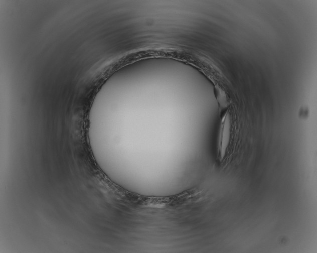 X0000091850773200710031640
