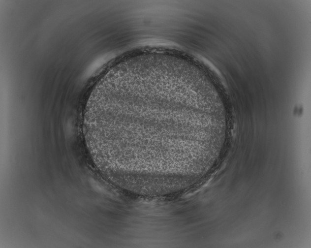 X0000091850775200710031640