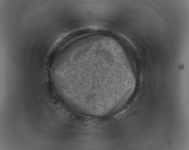 X0000091850776200710031640