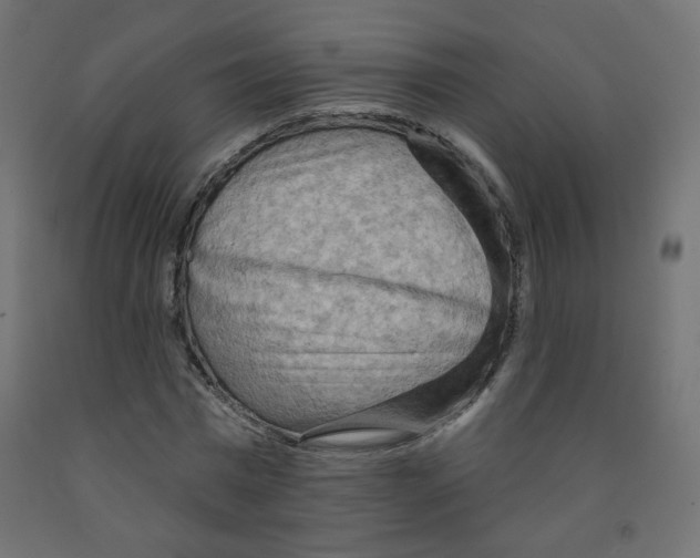 X0000091850777200710031640