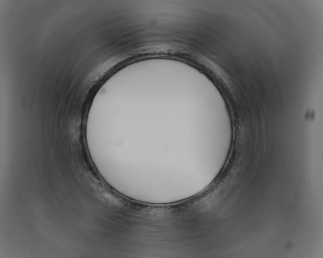 X0000091850778200710031640