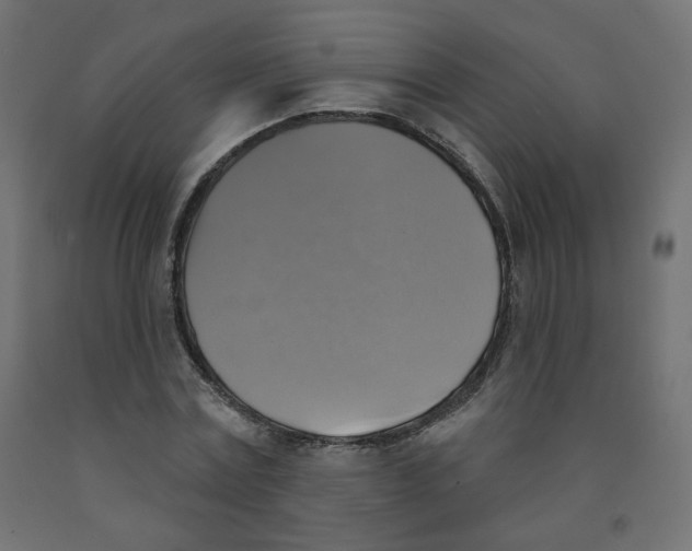X0000091850779200710031640