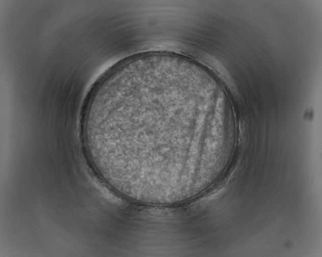 X0000091850780200710031640