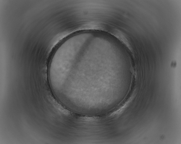 X0000091850781200710031640