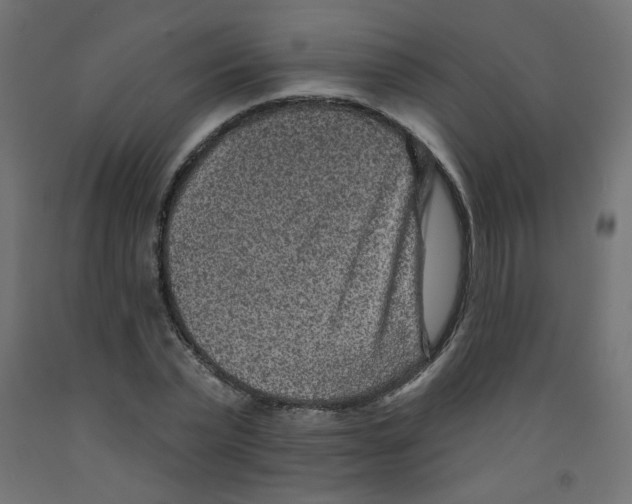 X0000091850783200710031640