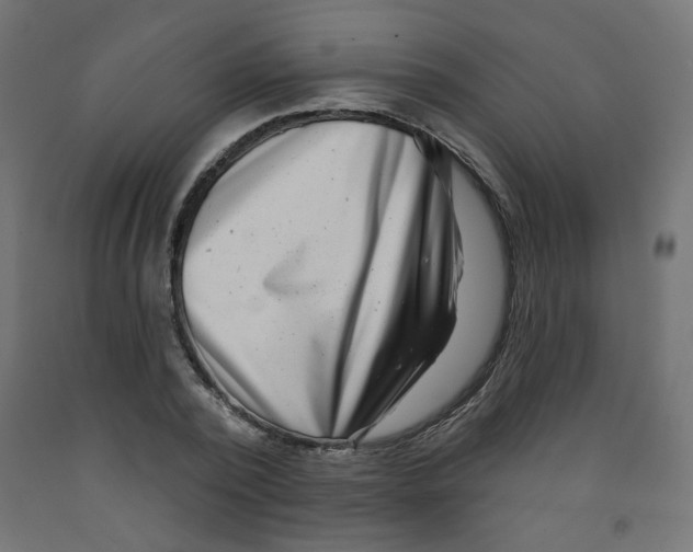 X0000091850784200710031640