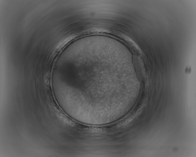X0000091850785200710031640