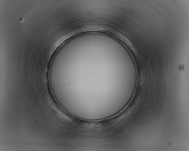 X0000091850786200710031640
