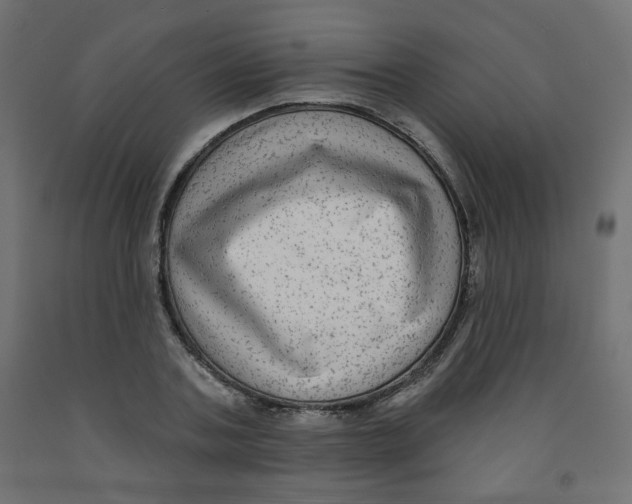 X0000091850787200710031640