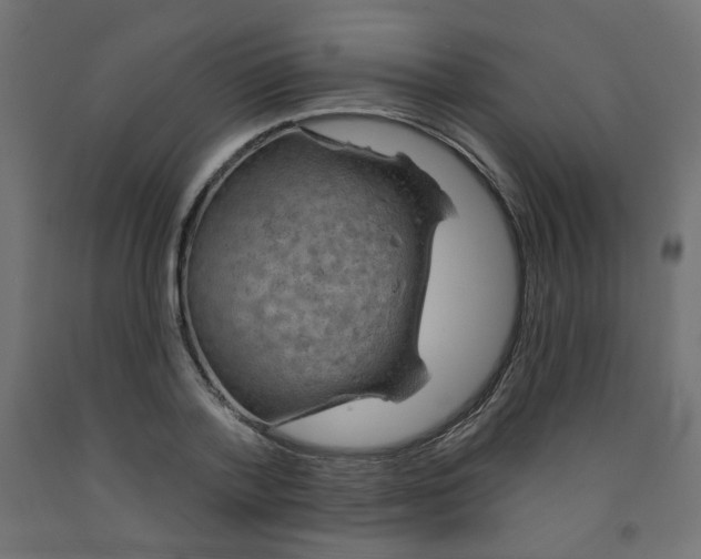 X0000091850788200710031640