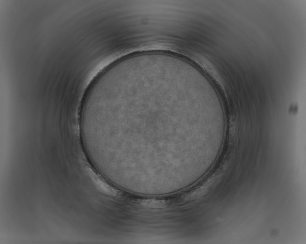 X0000091850789200710031640