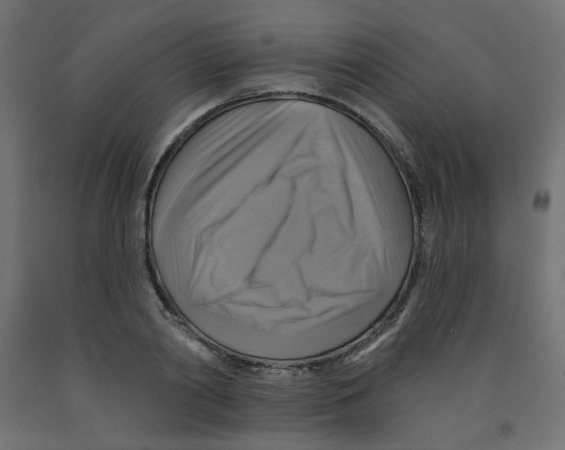 X0000091850790200710031640