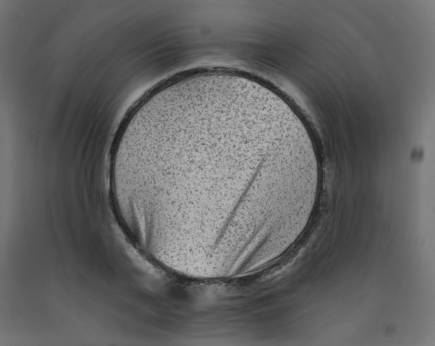 X0000091850791200710031640