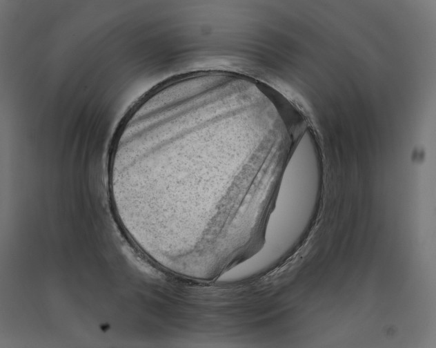 X0000091850792200710031640