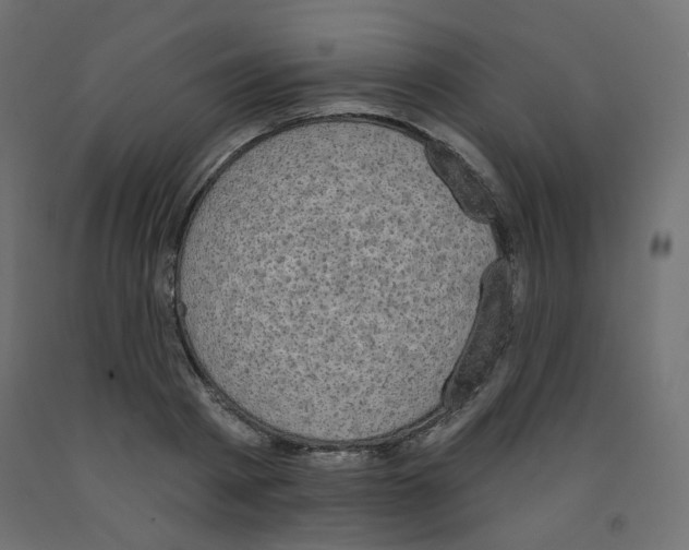 X0000091850793200710031640