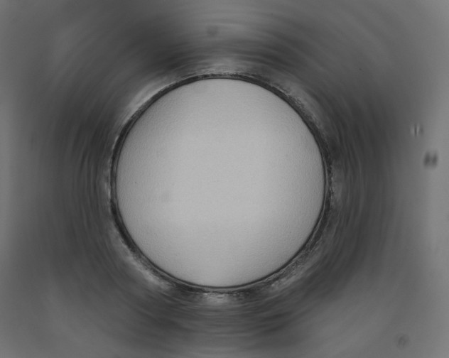 X0000091850794200710031640
