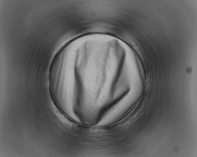 X0000091850795200710031640