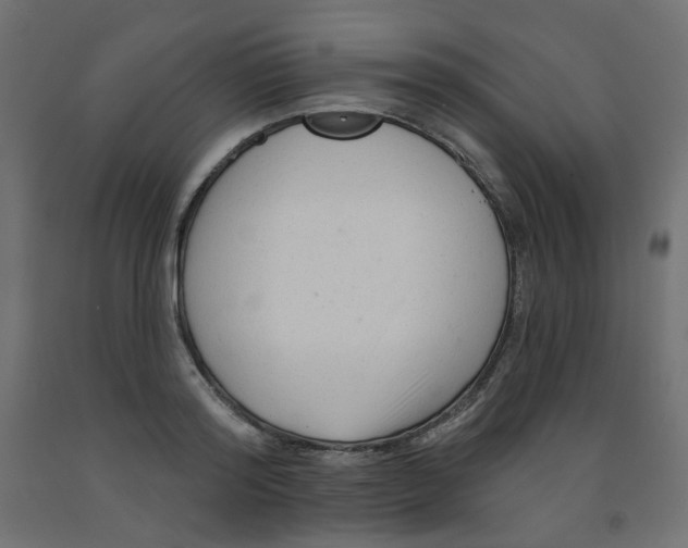 X0000091850796200710031640