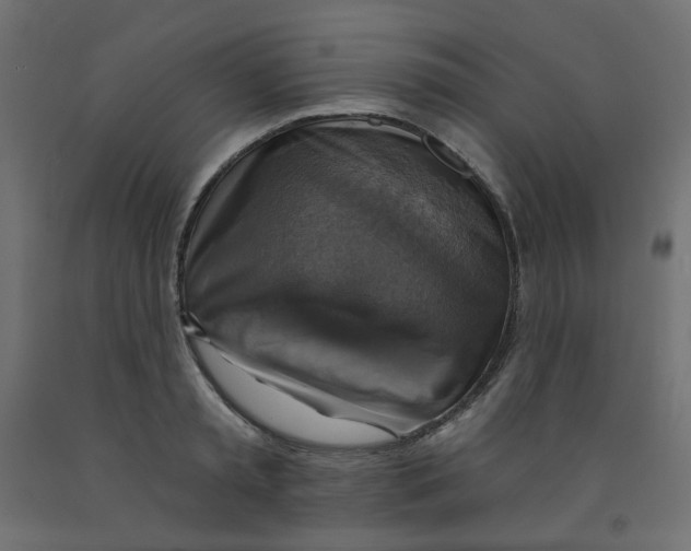 X0000091850797200710031640