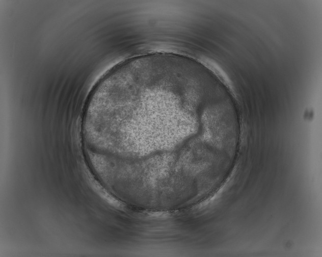 X0000091850798200710031640