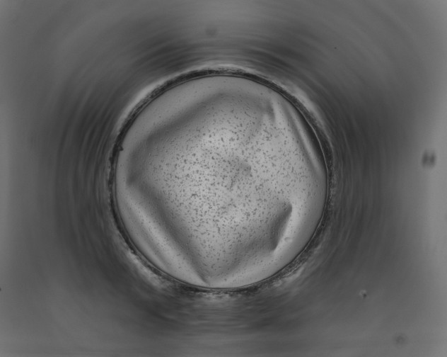 X0000091850799200710031640