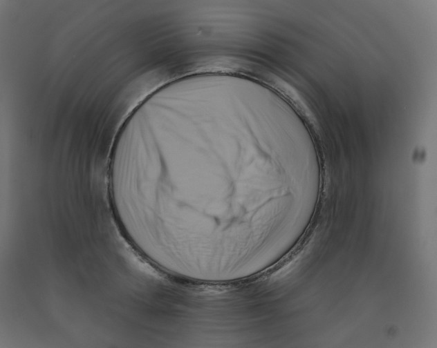 X0000091850802200710031640