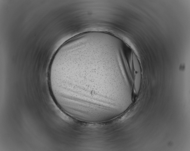 X0000091850803200710031640