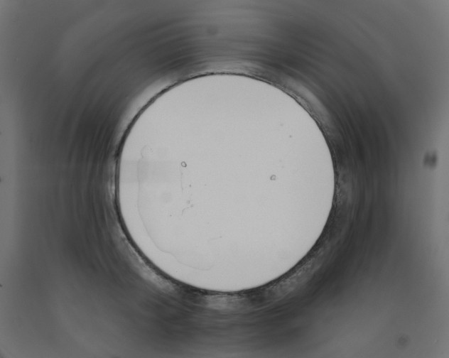 X0000091850804200710031640