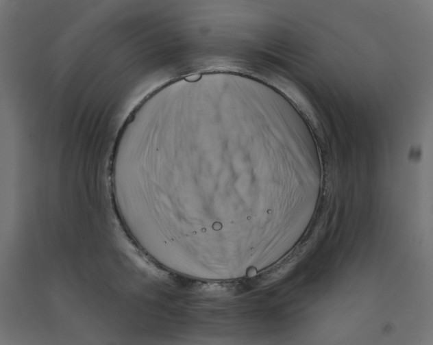 X0000091850806200710031640