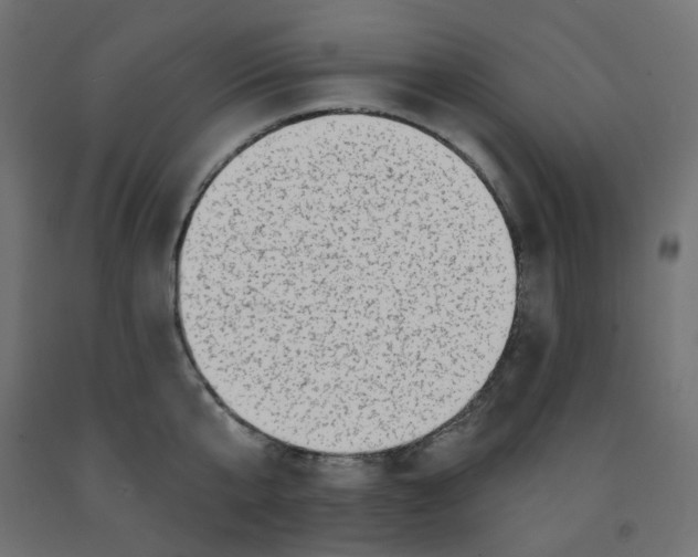 X0000091850807200710031640