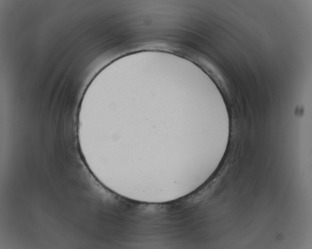 X0000091850808200710031640