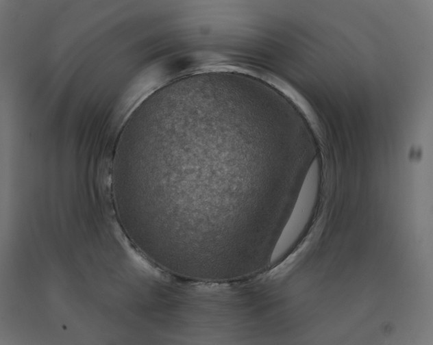 X0000091850809200710031640